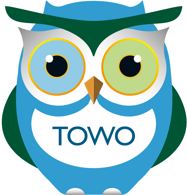 TOWO 猫头鹰标志